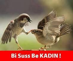 Çok gevezeyim susmak bilmiyorum?