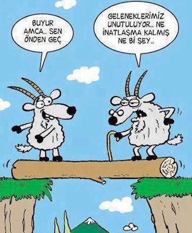 Keçi inadı var mı sizde?