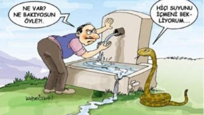 Su içerken yılan dokunmaz derler gerçekmi bu?
