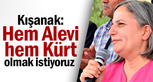 Kendini Kürt Alevi'si gibi gösteren PKK'lılar için ne düşünüyorsunuz?