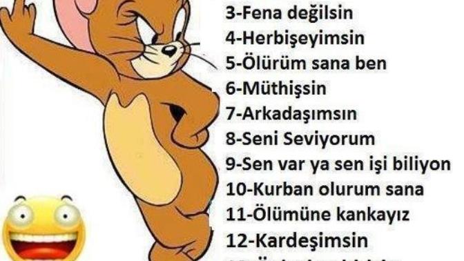 Sizce ben hangisiyim?