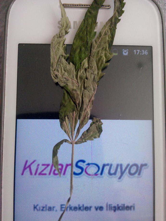 Evrenin ne olduğunu bilen var mı Evrenin ne olduğunu bilen var mı