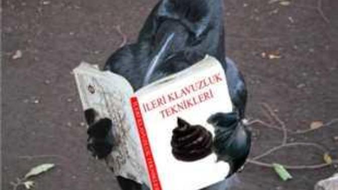 Karga boku bizi ayıran şanssızlık oldu?