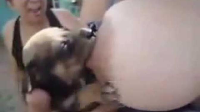 Köpeğe süt emziren kadın hakkında ne düşünüyorsunuz :D?
