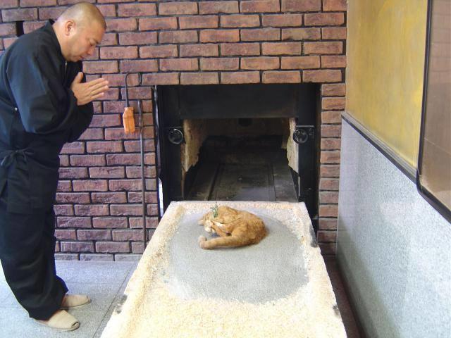 Kedi Krematoryumunu Gördünüz mü?