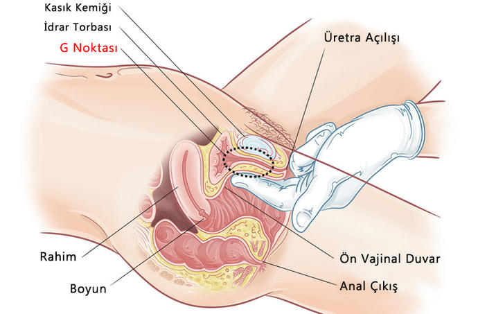 G Noktasından boşalamayanlara müjde gibi resimli haber ?