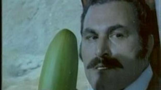 Bu saatte gerekli olan tek şey Hıyar!. Hıyar severmisiniz ^Fotoğraflı^?