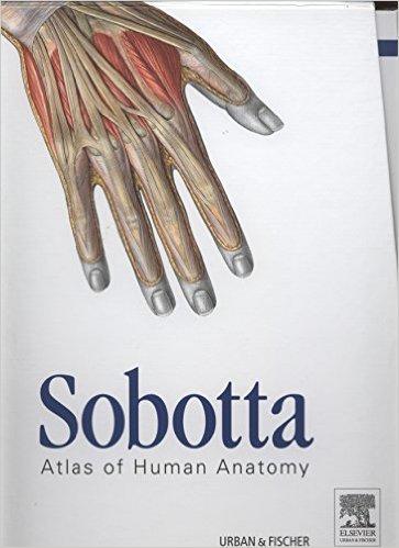 Netter mi Sobotta mı?