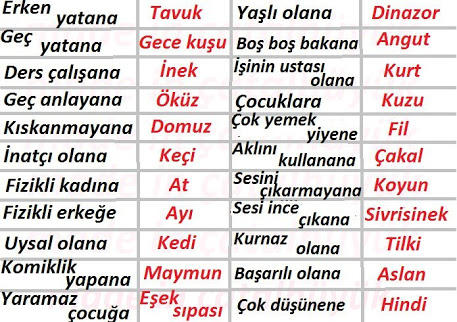 Neden bir türlü insan olamiyoruz detay detay detay ??