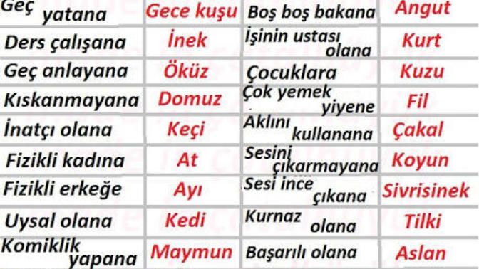 Neden bir türlü insan olamiyoruz detay detay detay?