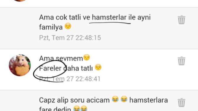 Hamsterlar fare midir 😊😇😳😲🐁🐭 ?