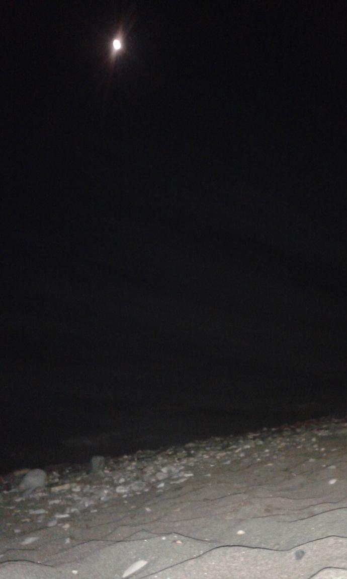 Kumsala oturup yıldızları seyretmek mi, gece kulubünde hunharca dans etmek mi?