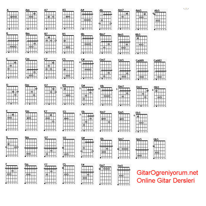 Gitardan anlayan var mı?