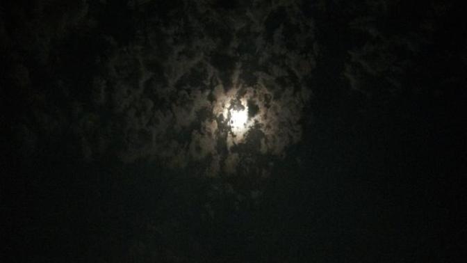 Ay'ı seviyor musunuz😇🌕?
