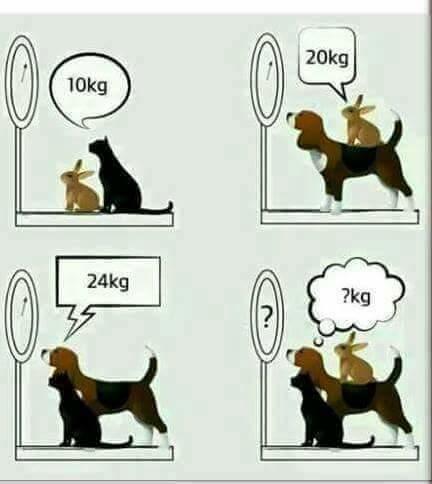 Sabah sabah beyin jimnastiği soru fotoğrafta?