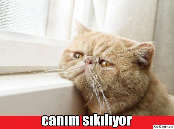Güzel parça önerisi olan :) ?