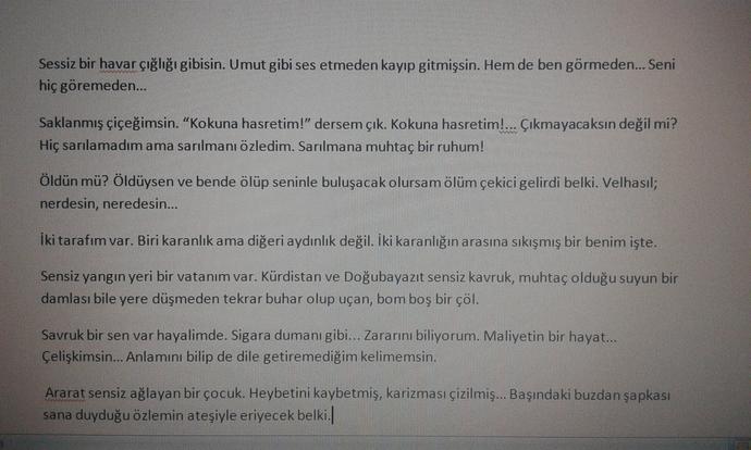 Arkadaşlar nasıl yazmışım sizce ?