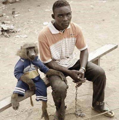 Afrika'da ''Evcil Hayvan'' Kelimesi Neden Bütün Dünyadan Ayrı Başka Bir Anlama Bürünüyor?
