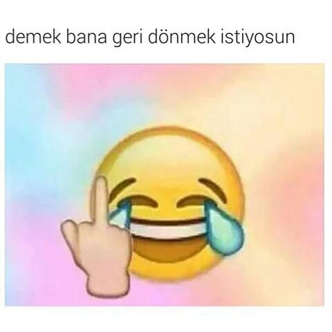 Eski sevgiliniz gelse hadi yine gel beraber olalım dese?