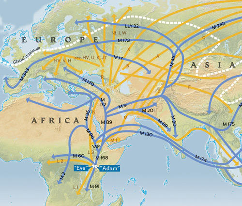 İlk İnsanlar Afrika'yı Neden Terk Etti?