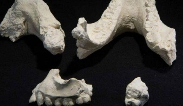 Etiyopya'da Yeni Bir İnsan Türü Bulunmuş?
