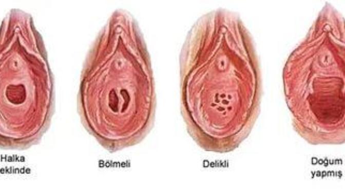 Cınsel organımı tanımama yardımcı olurmusuunz?