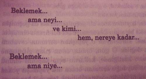 Herkesin bir beklediği var bu hayatta, sen neyi bekliyorsun?