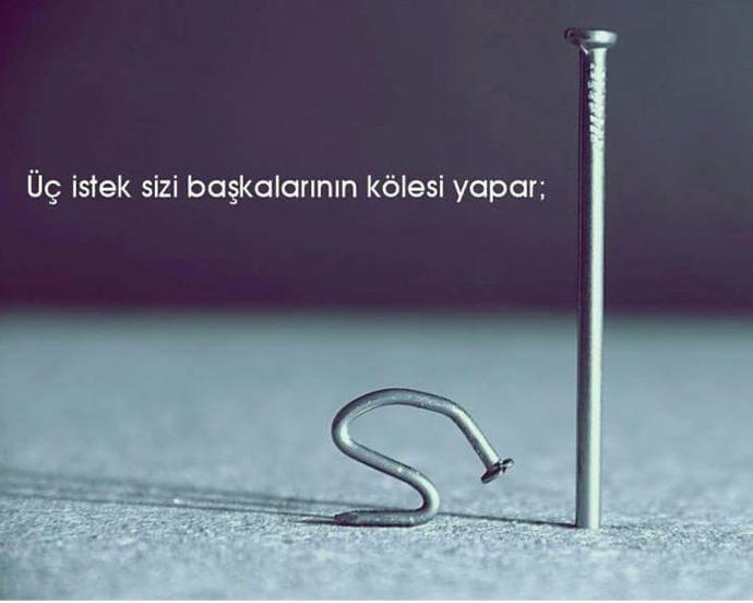 Üç istek sizi baskasinin kölesi yapar.. Sizce bu üç istek nedir ?