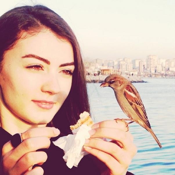 Sasha grey'i kanal d'deki gunesin kizlari adli dizide gördüm. oha   l*n . nasil bir prodüksiyon bu?
