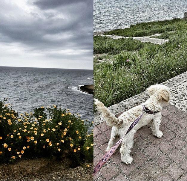 Çektiğim fotoğraflar sizce nasıl?