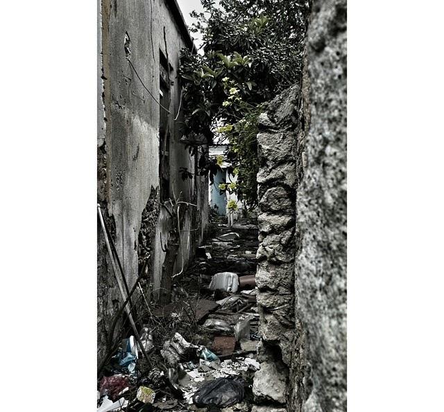 Çektiğim fotoğraflar sizce nasıl?