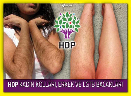 Hdp kadın kolları hakkında ne düşünüyorsunuz?