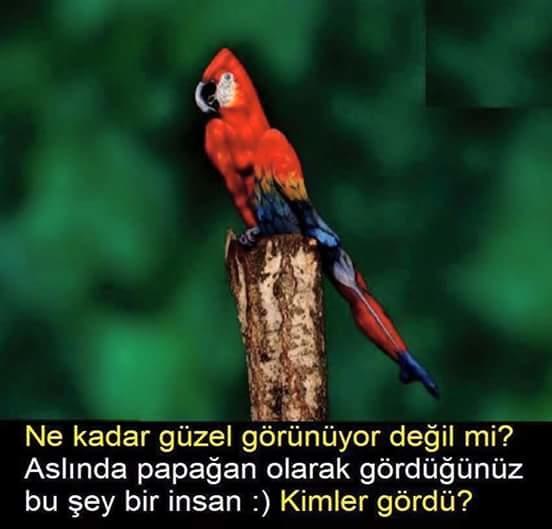 Bunun neresinde adam var yahu ?