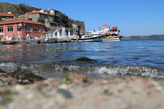 Sizce Bu fotoğraf nasıl?