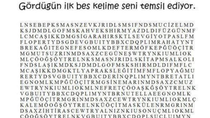 Resimde gördüğünüz ilk 5 kelime hangisi?