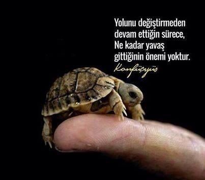 Yabancı kızlarla sohbet edebileceğim bir site Biliyormusunuz? 