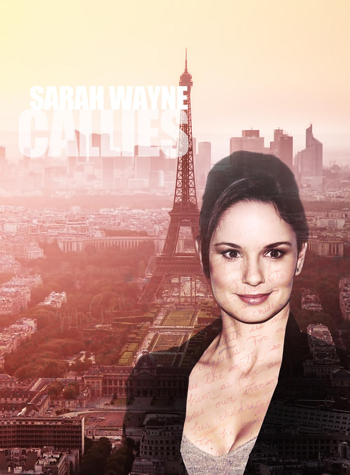 Sarah Wayne Callies Çalışmam Nasıl Olmuş?