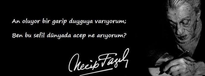 An oluyor bir garip duyguya variyorum Ben bu sefil dunyada acep ne ariyorum.?