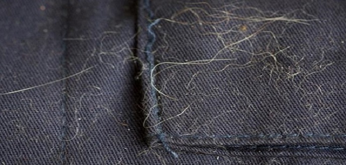 Pantolon Tüy Topluyor