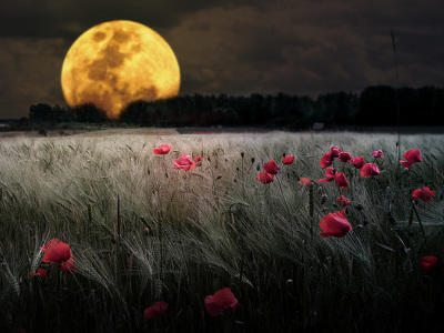 ''Vakit gelince gitmenin adıdır gün batımı...<br />Ömürden<br />Gönülden<br />Günden...