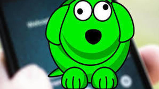 Whatsdog uygulamasını nasıl engelleyebiliriz? whatsdog da izlenmemek için ne yapılabilir?