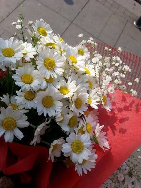 🌼