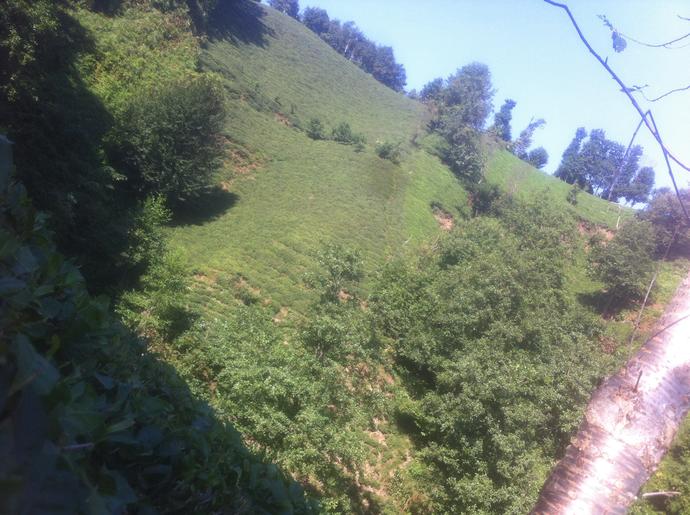 Rize Ardeşen nasıl ?