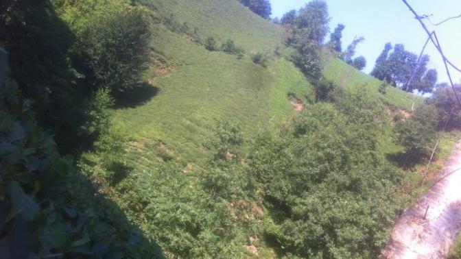 Rize Ardeşen nasıl?