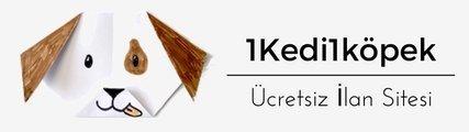 Kedi mi köpek mi? kedi mi köpek mi? kedi mi köpek mi?