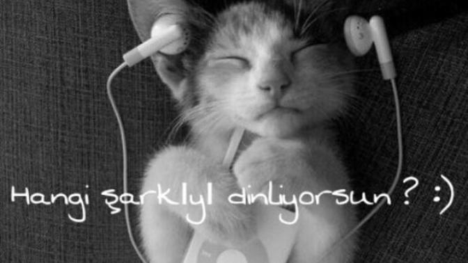 Şu an  hangi şarkıyı dinliyorsunuz?