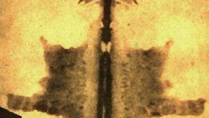 Bu fotoğrafta ne görüyorsunuz?