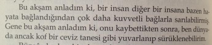 İçinizi burkacak bir kitap Kürk Mantolu Madonna?