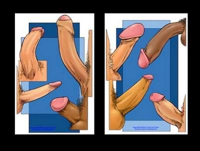 Kızlar, hangi penis türü sizce?