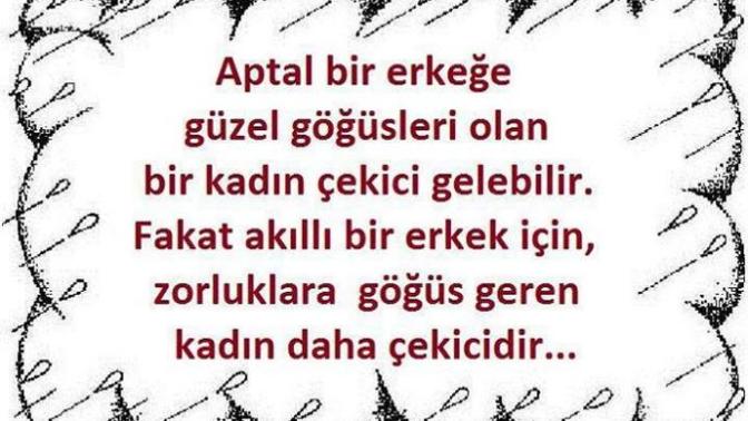 Aptal bir erkekle, akıllı bir erkek arasındaki fark nedir?